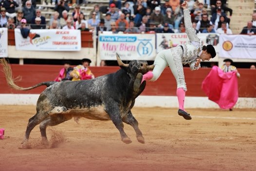 Torero terminó en el hospital tras sufrir fuerte cogida en Francia