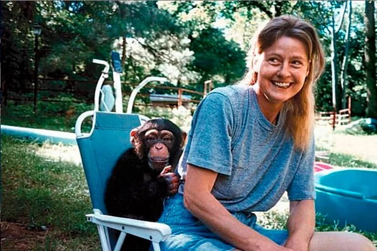 El dramático caso en Connecticut: La mujer a la que un chimpancé le destruyó los párpados, la nariz y la mandíbula