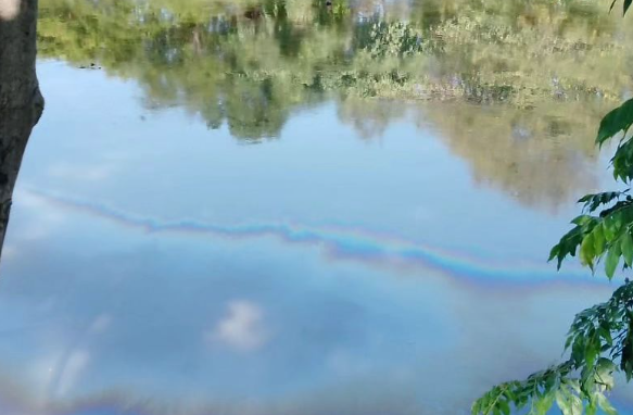 Sustancia aceitosa mantiene en alerta a pescadores del río Neverí en Anzoátegui