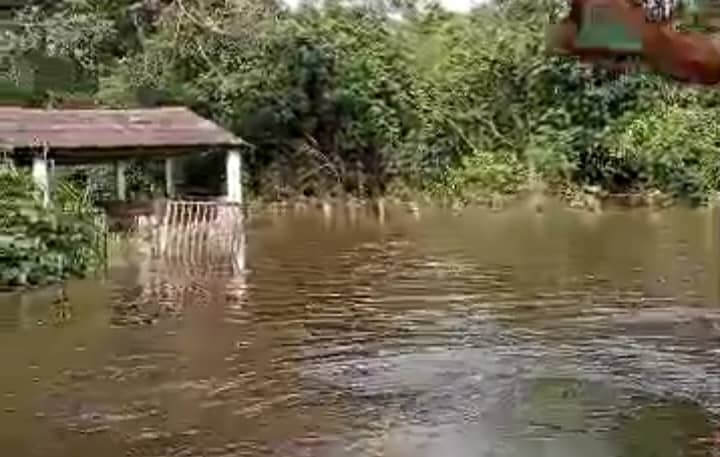 Inundada permanece Santa Cruz de Guacas en Barinas por crecida del río Uribante