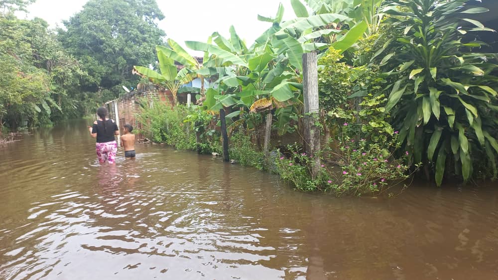 Alerta en Alto Apure: Más de 300 familias en Guaca de Rivera afectadas por inundaciones