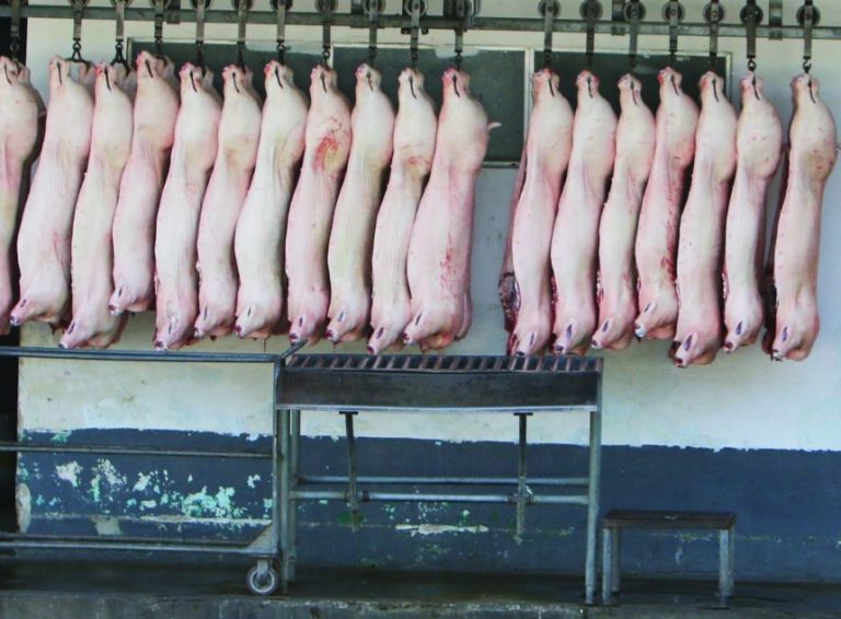 La estrategia de exportación de carne de cerdo de EEUU genera riesgos para la producción nacional